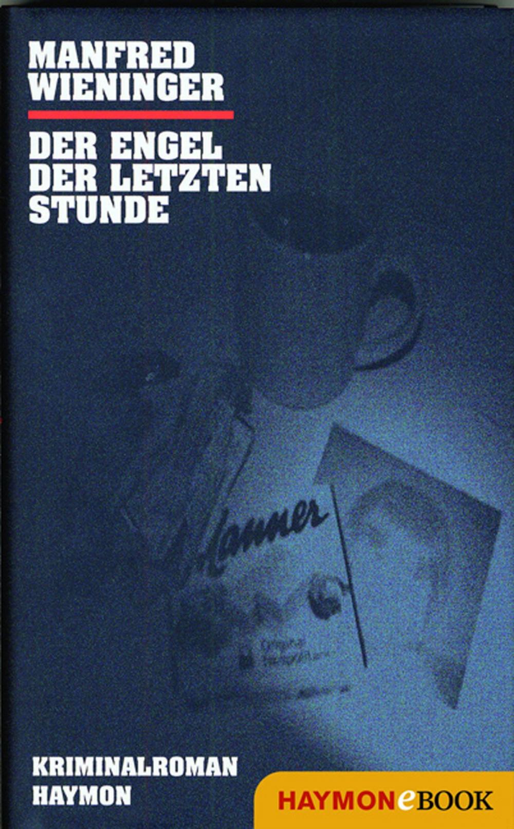 Big bigCover of Der Engel der letzten Stunde