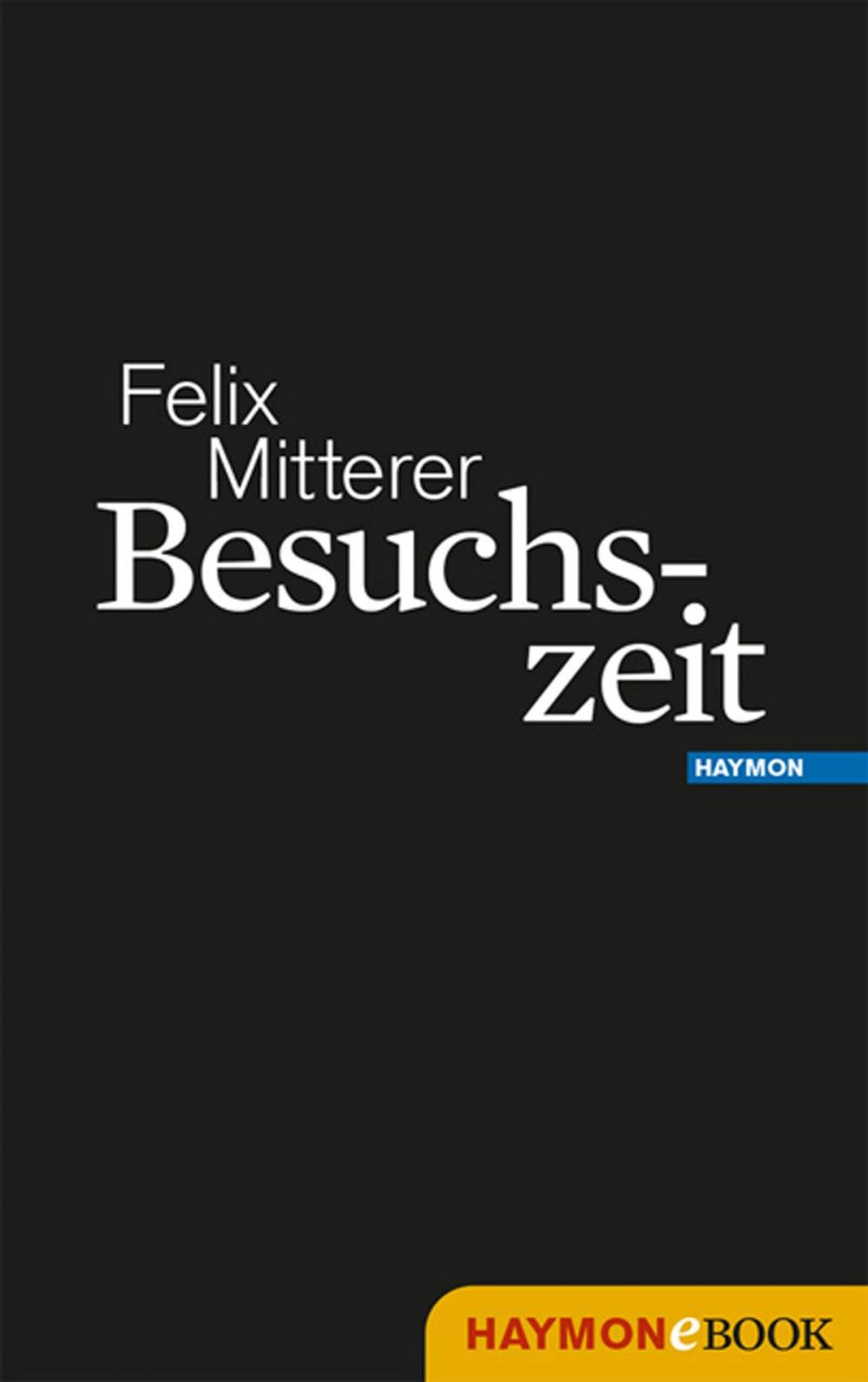 Big bigCover of Besuchszeit