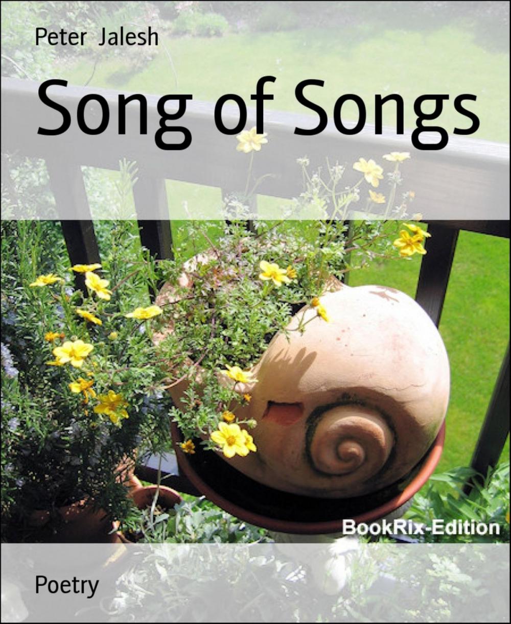 Big bigCover of Song of Songs