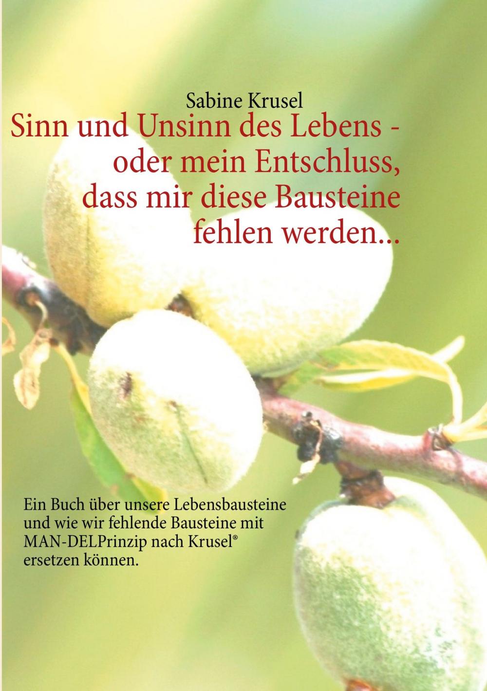 Big bigCover of Sinn und Unsinn des Lebens - oder mein Entschluss, dass mir diese Bausteine fehlen werden...