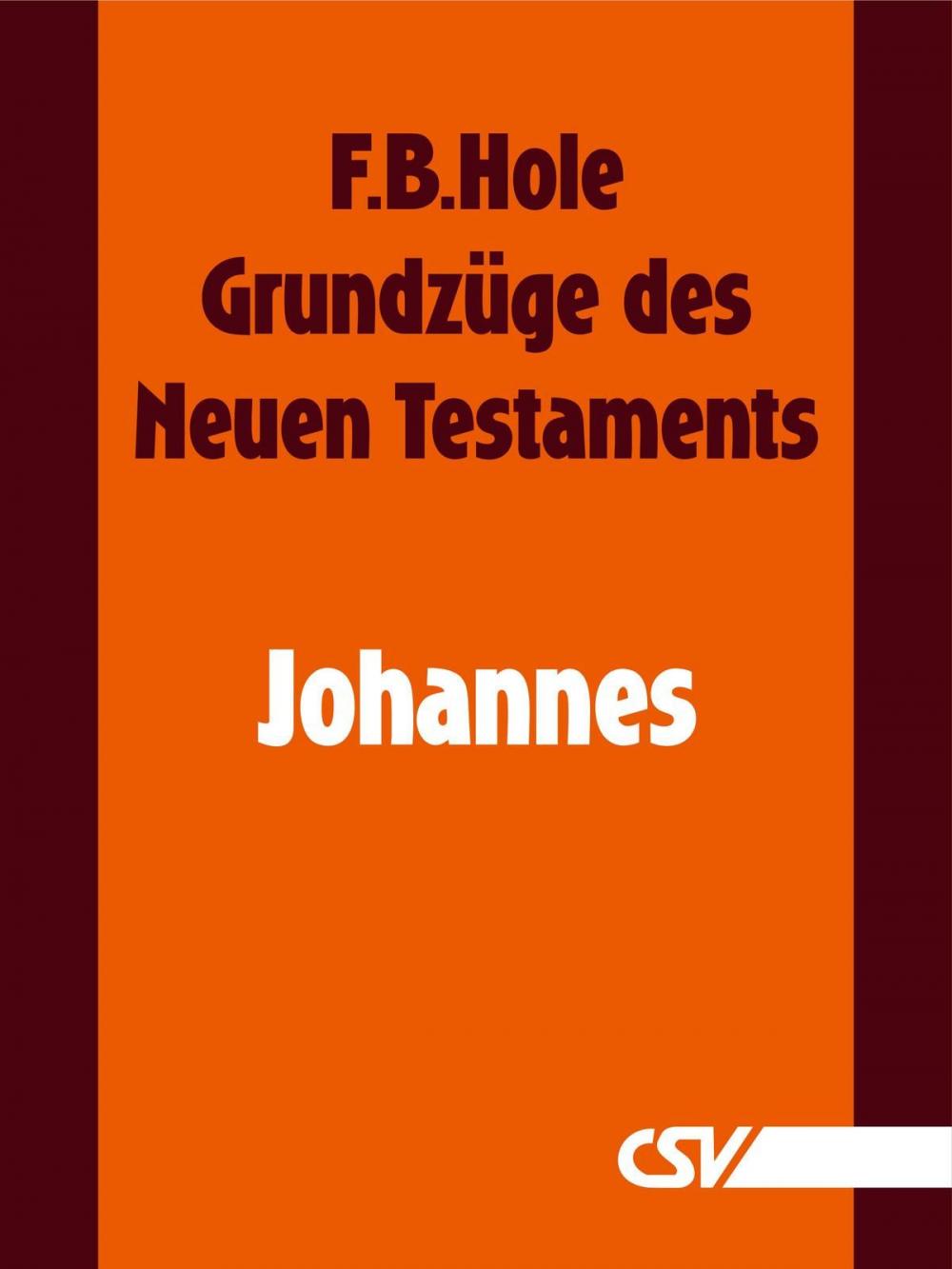 Big bigCover of Grundzüge des Neuen Testaments - Johannes