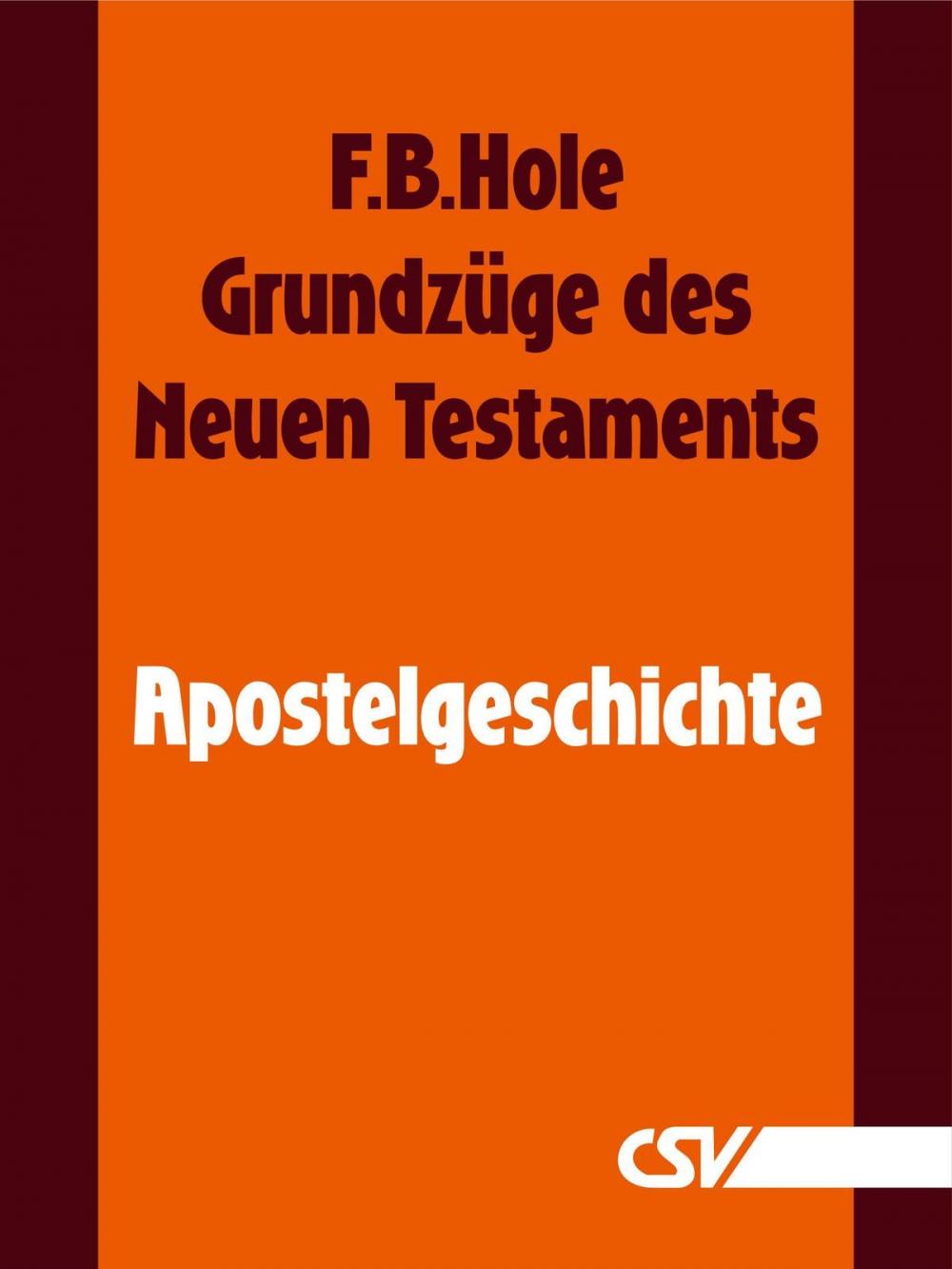 Big bigCover of Grundzüge des Neuen Testaments - Apostelgeschichte