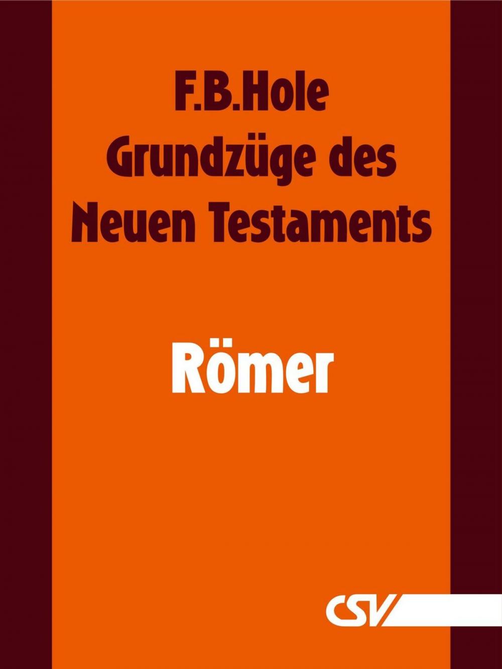 Big bigCover of Grundzüge des Neuen Testaments - Römer