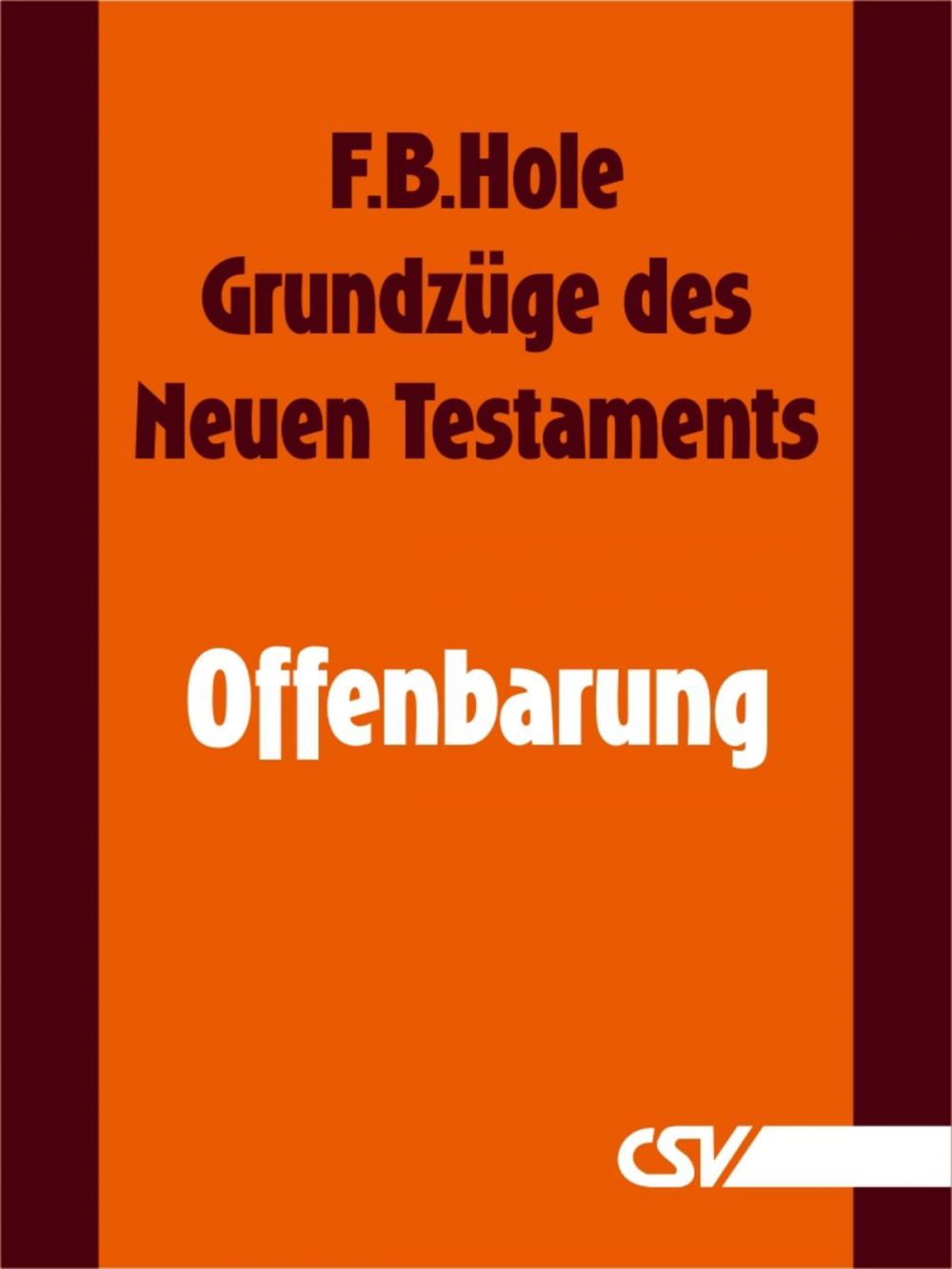 Big bigCover of Grundzüge des Neuen Testaments - Offenbarung