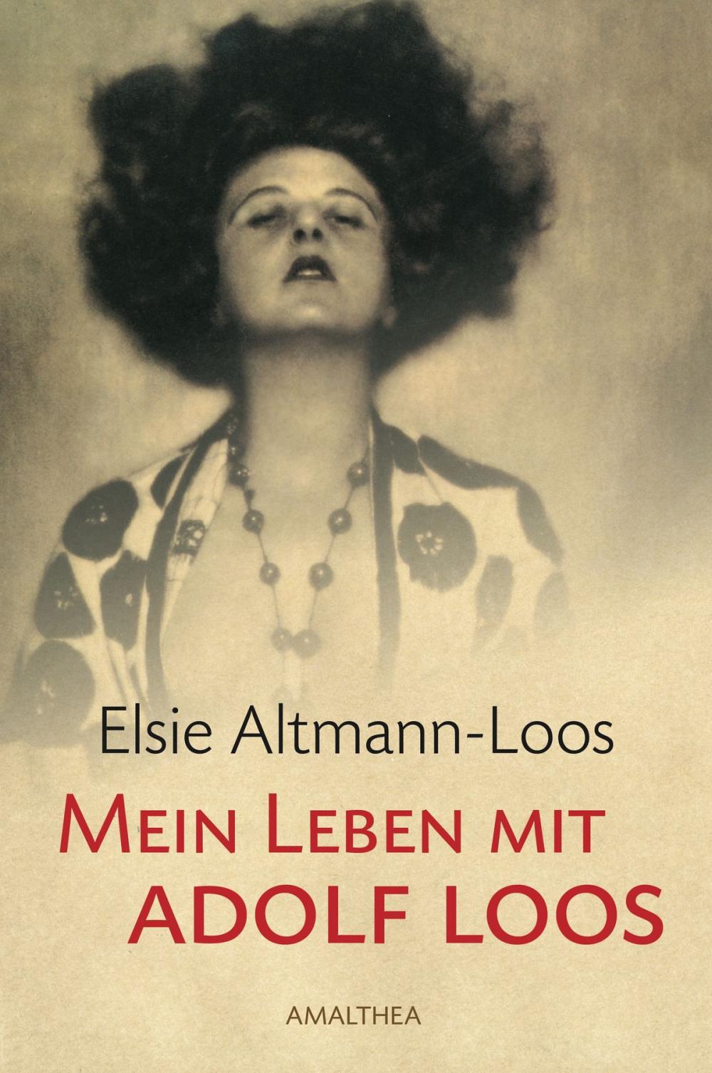 Big bigCover of Mein Leben mit Adolf Loos