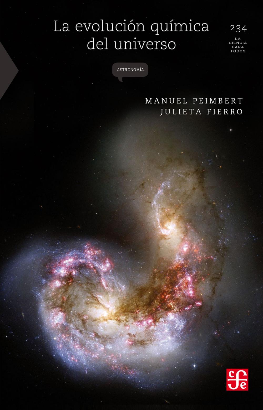 Big bigCover of Evolución química del universo