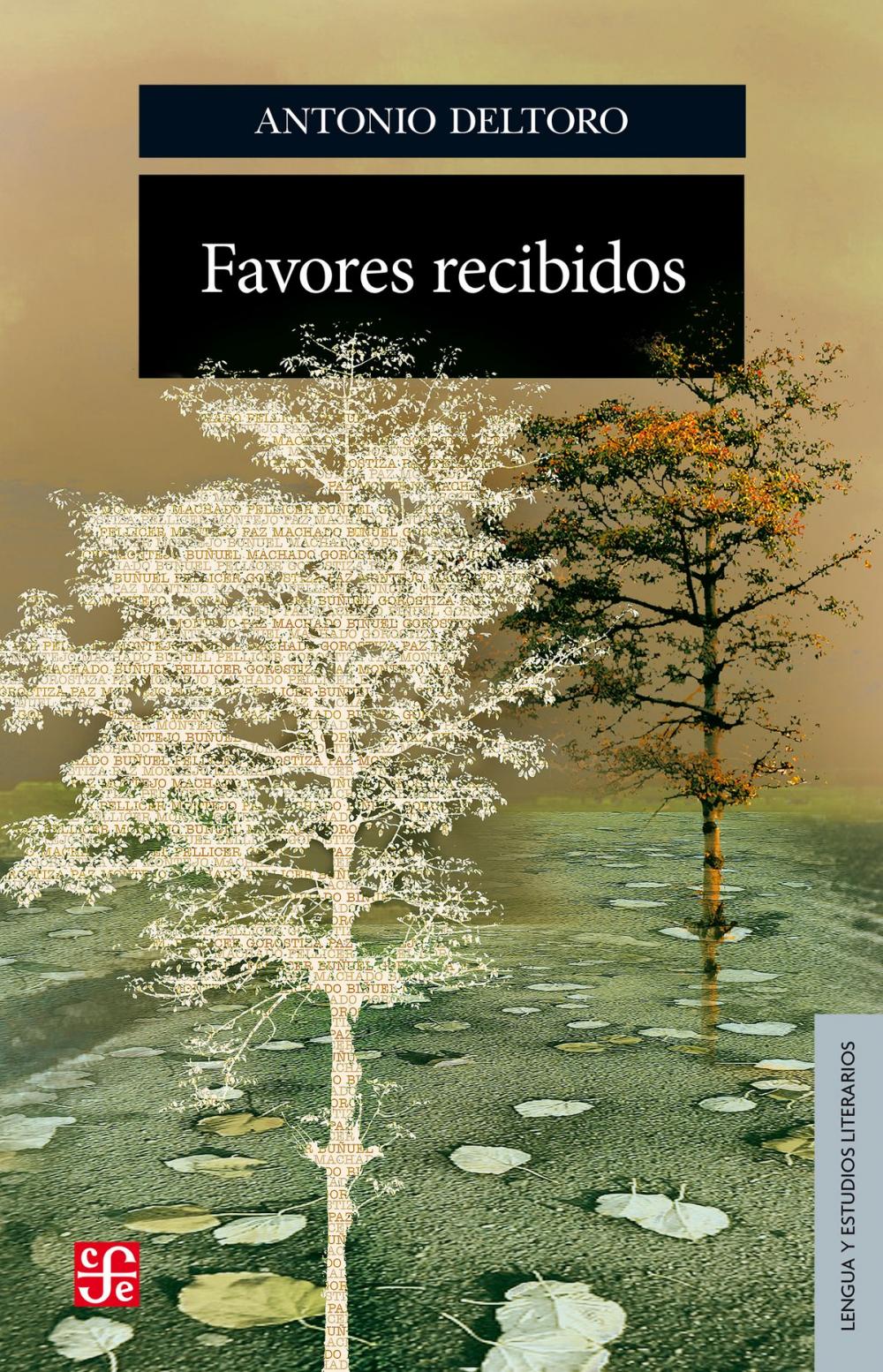 Big bigCover of Favores recibidos