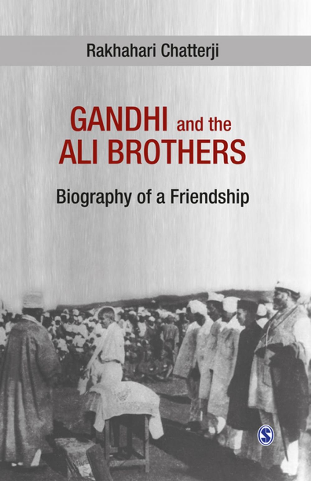 Big bigCover of Gandhi and the Ali Brothers