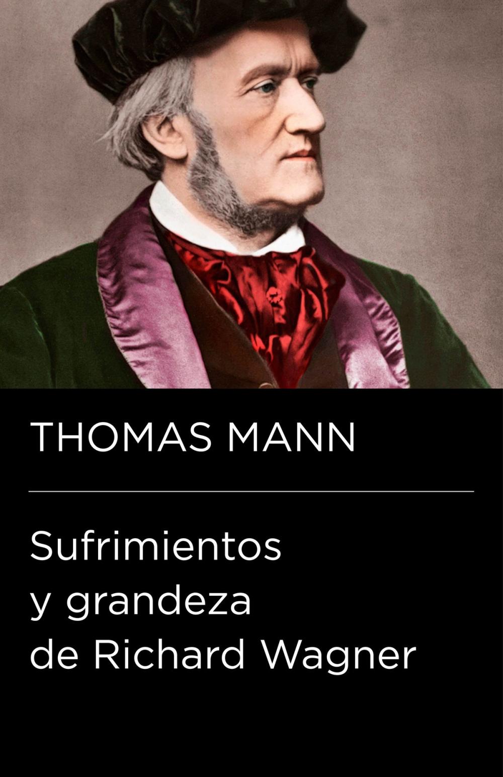 Big bigCover of Sufrimientos y grandeza de Richard Wagner (Colección Endebate)