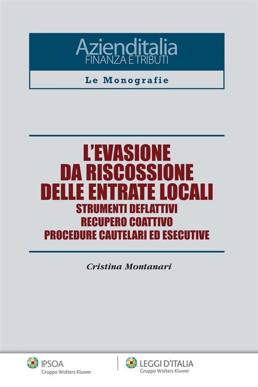 Big bigCover of L'evasione da riscossione delle entrate locali