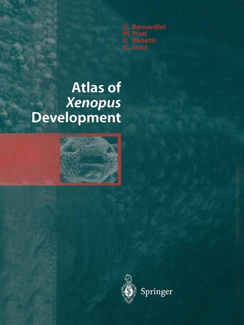 Big bigCover of Atlas of Xenopus Development