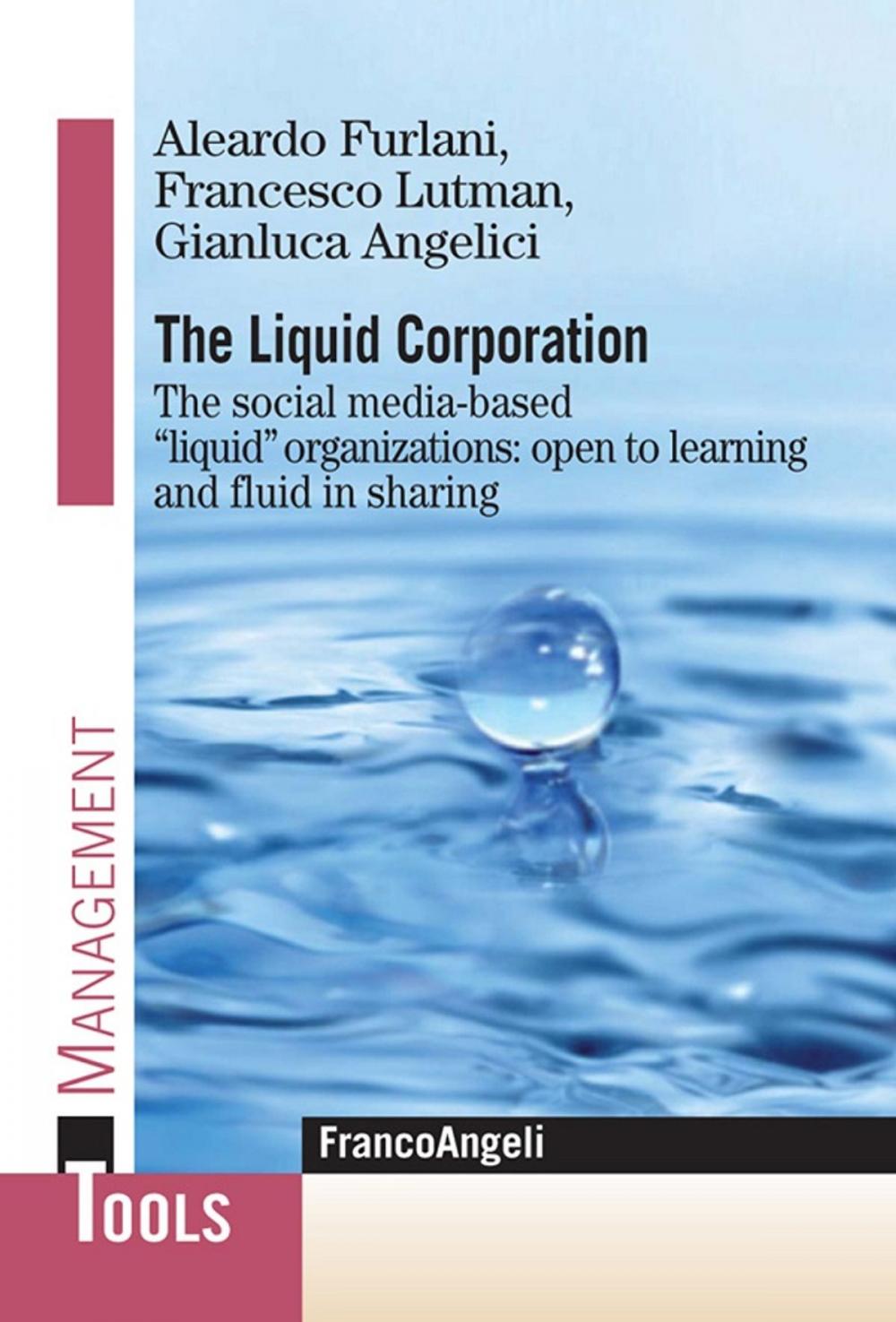 Big bigCover of The Liquid Corporation. The social media-based "liquid" organizations: open to learning and fluid in sharing