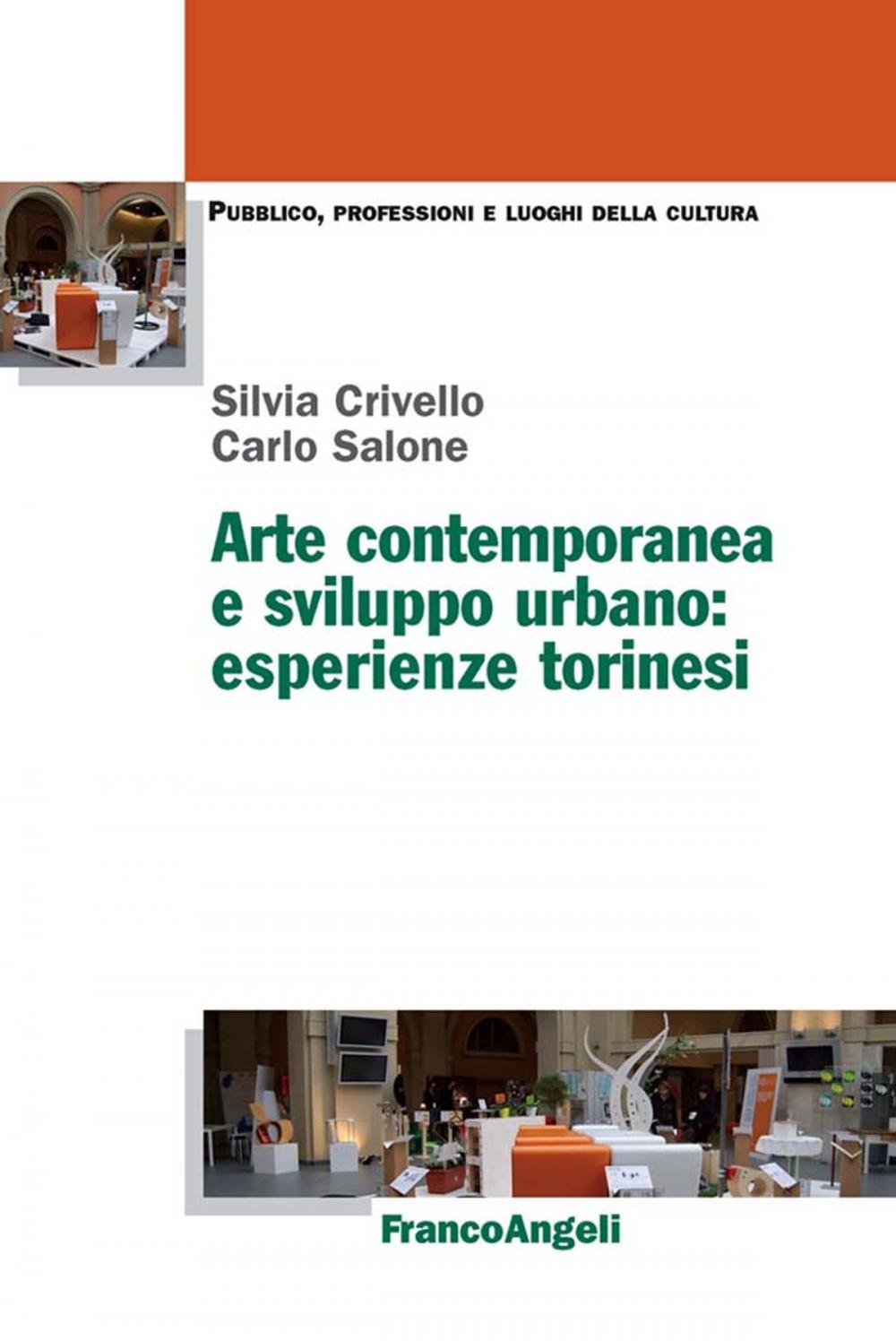 Big bigCover of Arte contemporanea e sviluppo urbano: esperienze torinesi