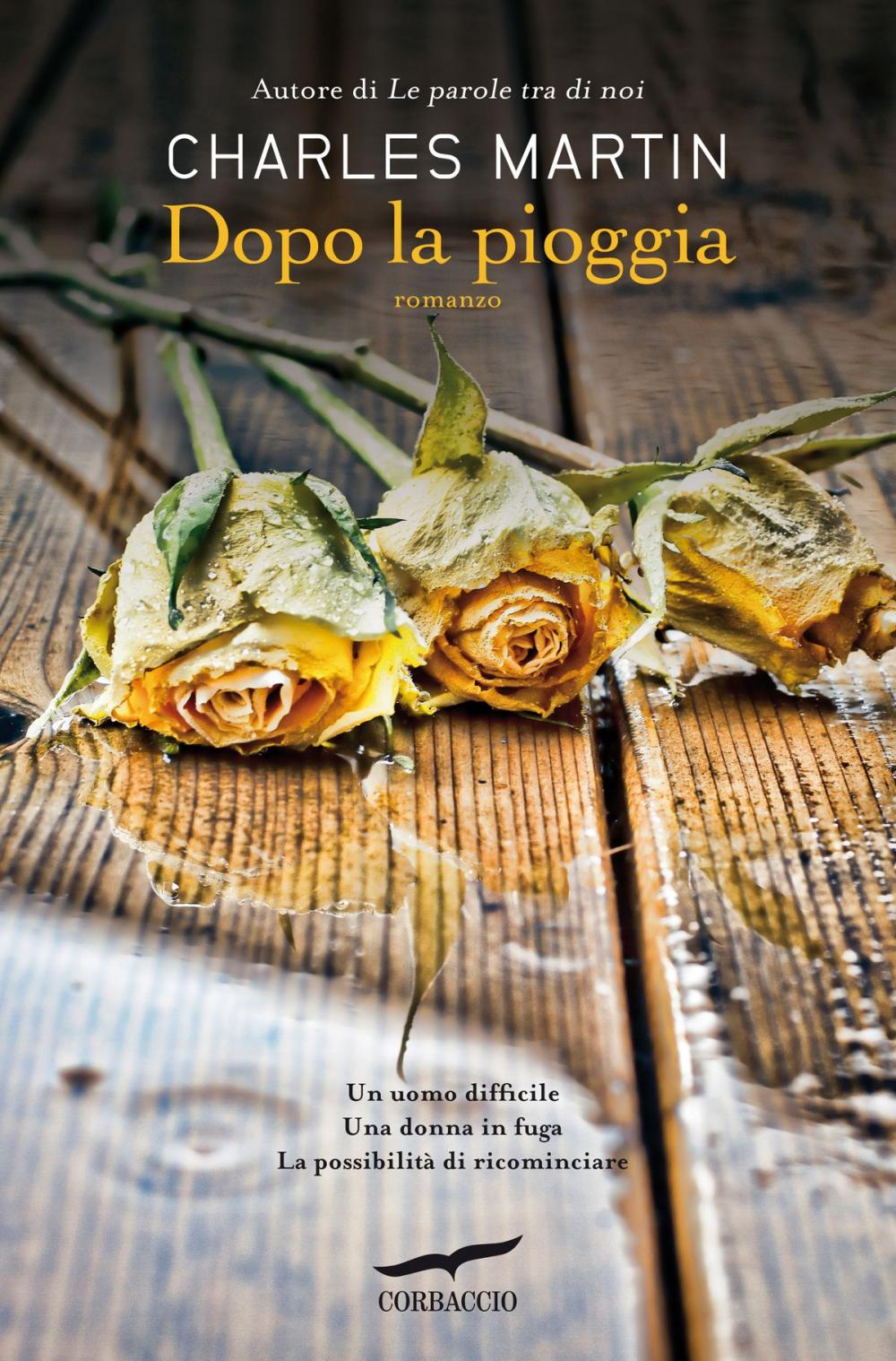 Big bigCover of Dopo la pioggia