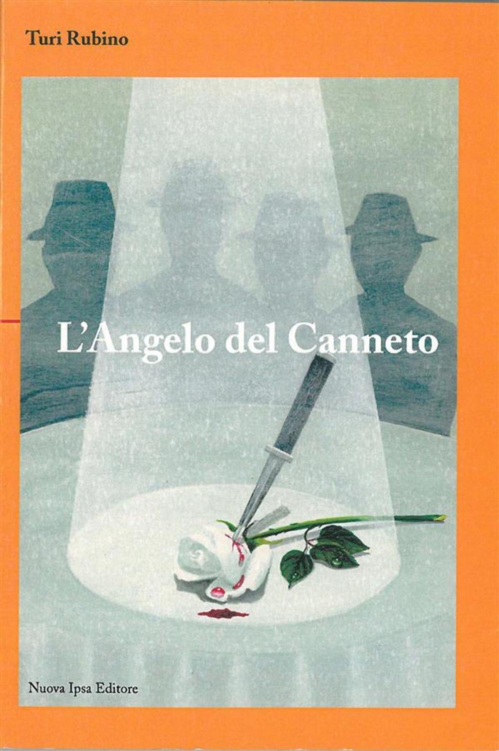 Big bigCover of L'angelo del canneto