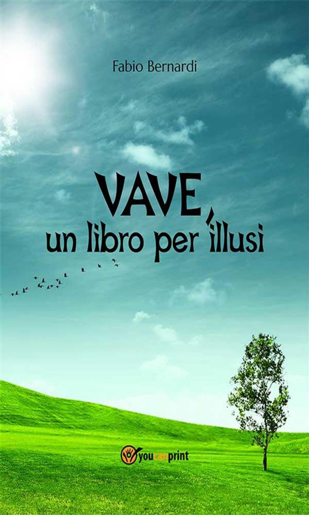 Big bigCover of VAVE, un libro per illusi