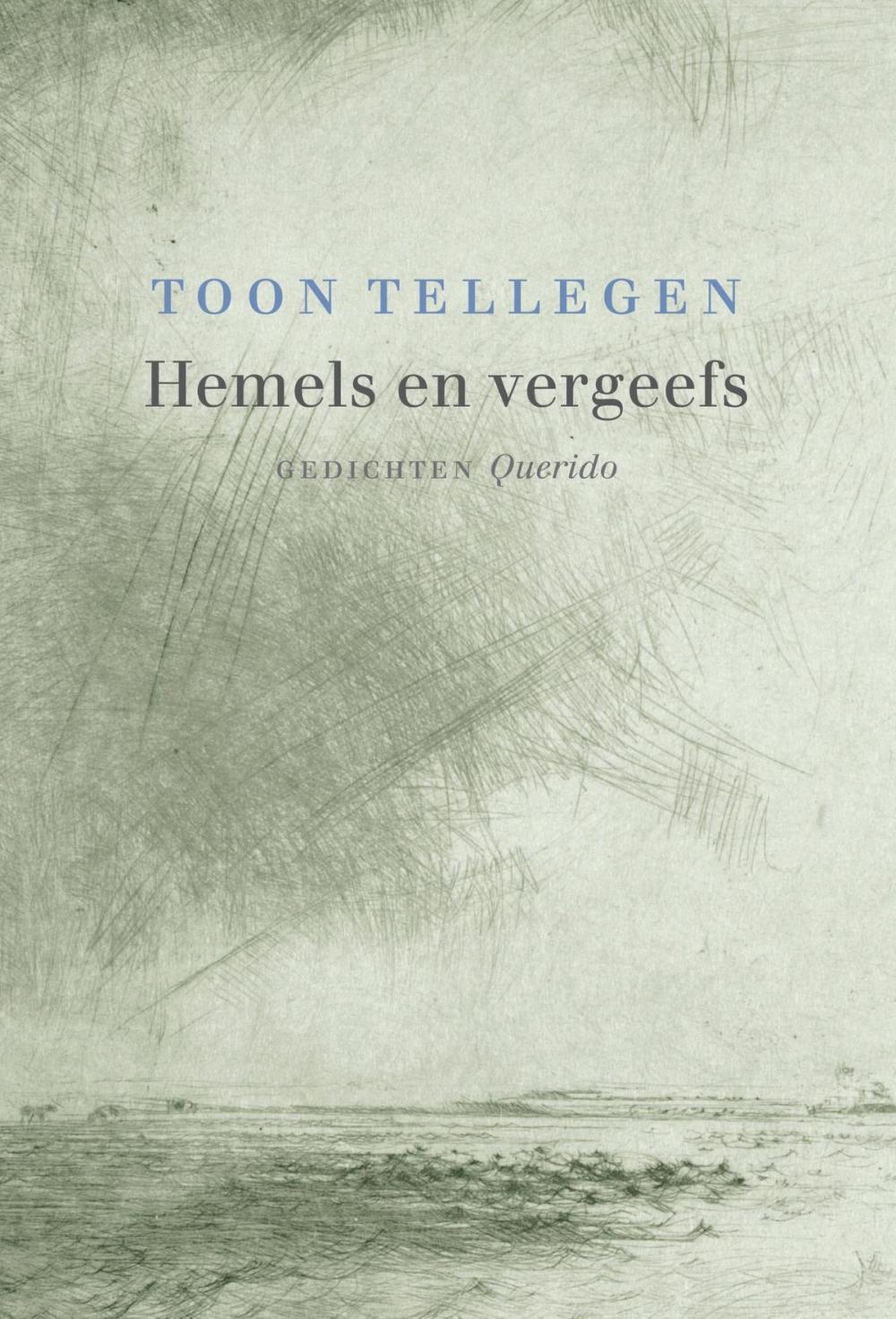 Big bigCover of Hemels en vergeefs