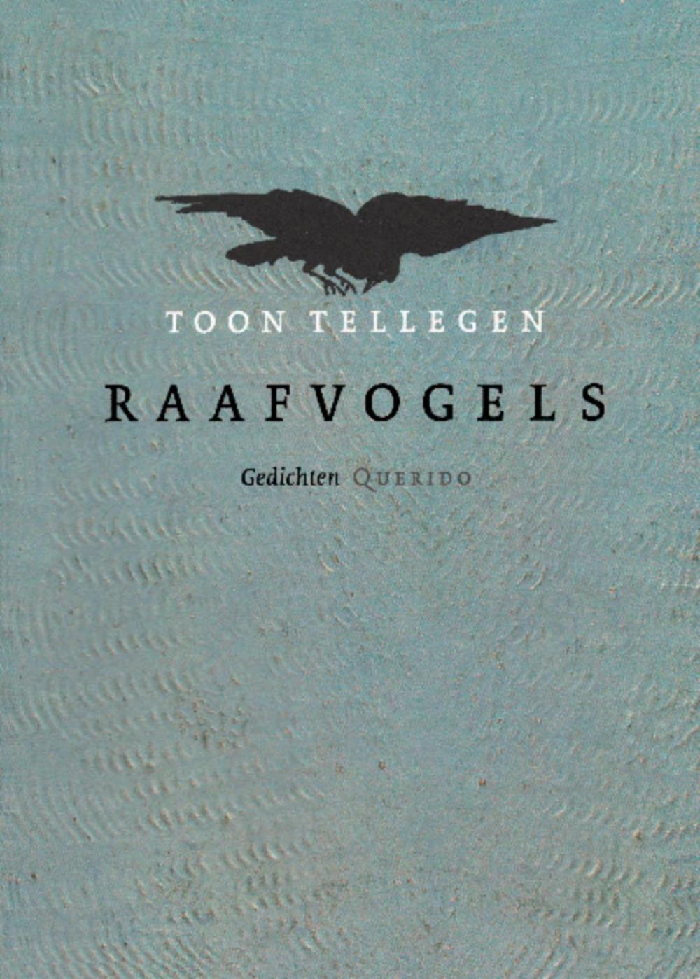 Big bigCover of Raafvogels