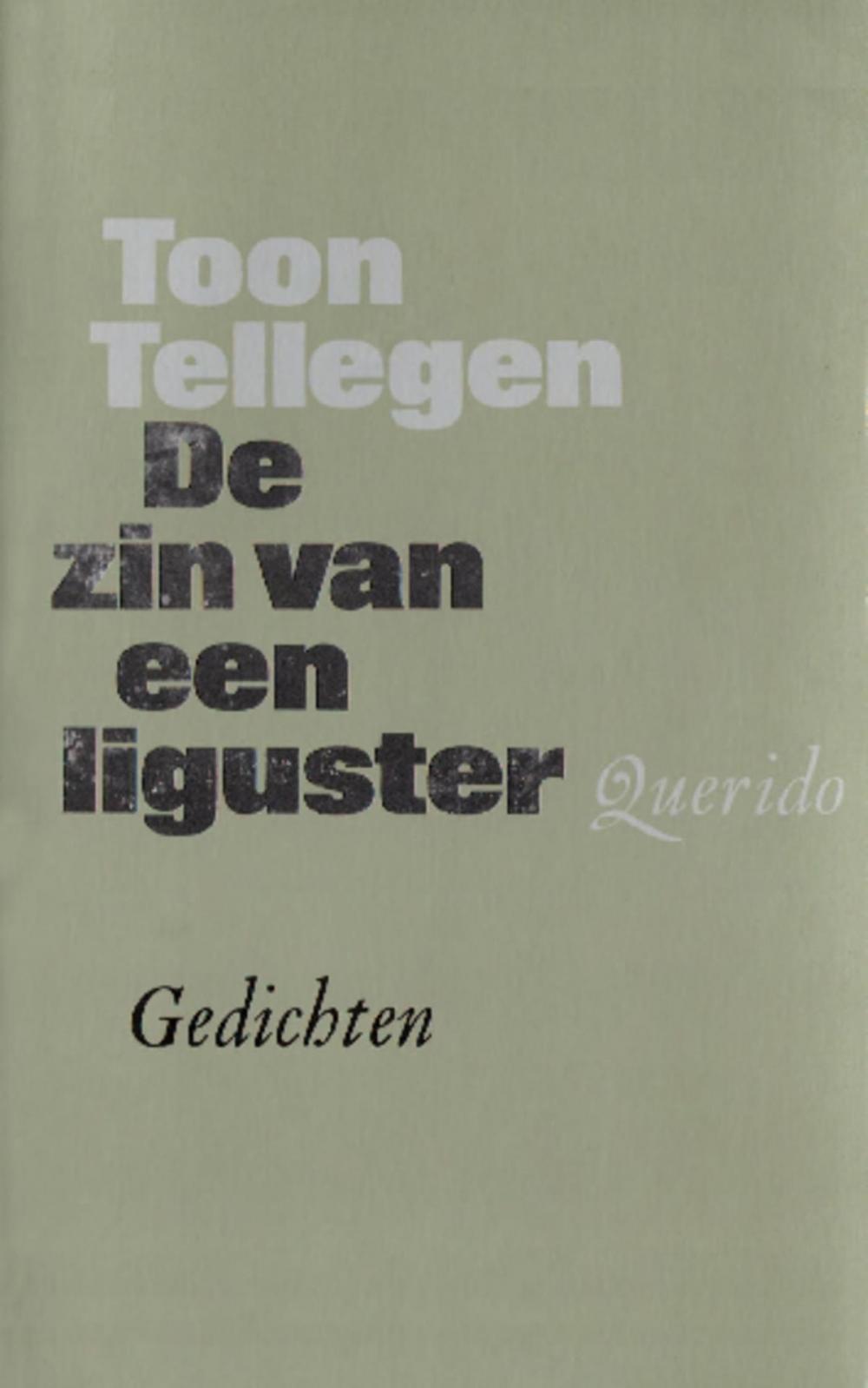 Big bigCover of De zin van een liguster