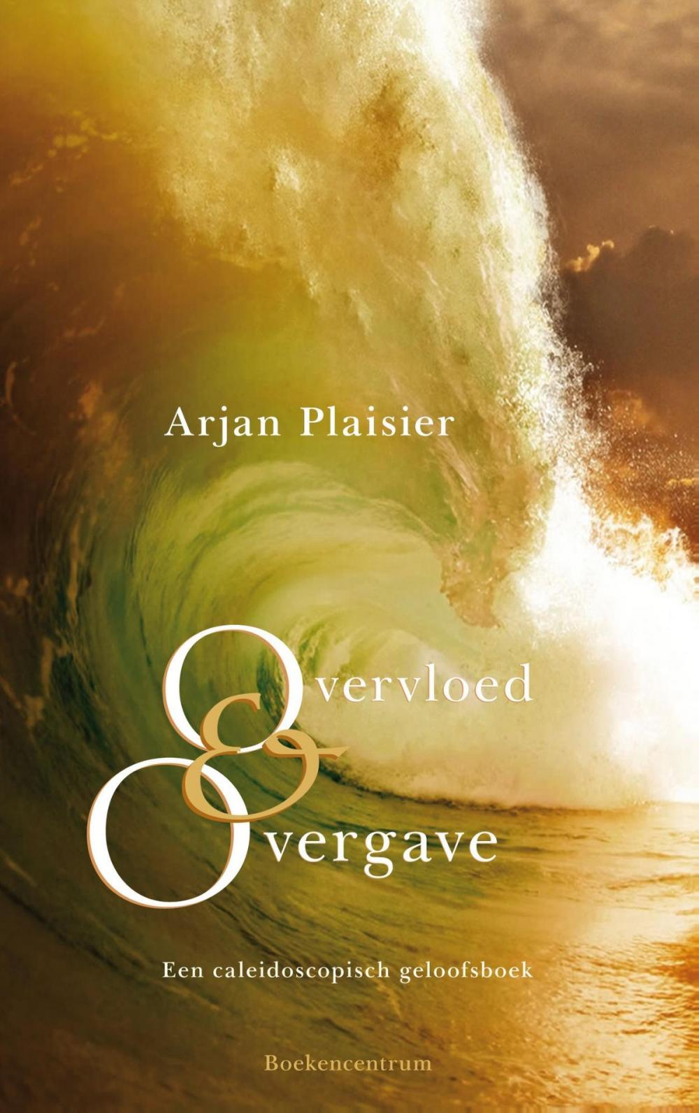 Big bigCover of Overvloed en overgave