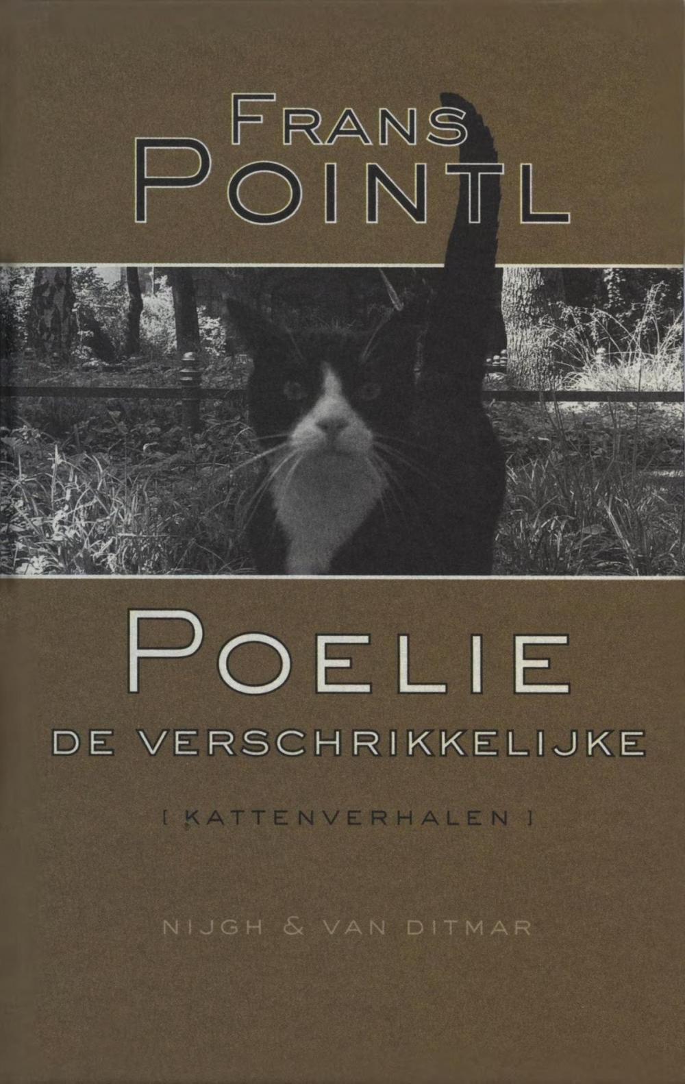 Big bigCover of Poelie de Verschrikkelijke