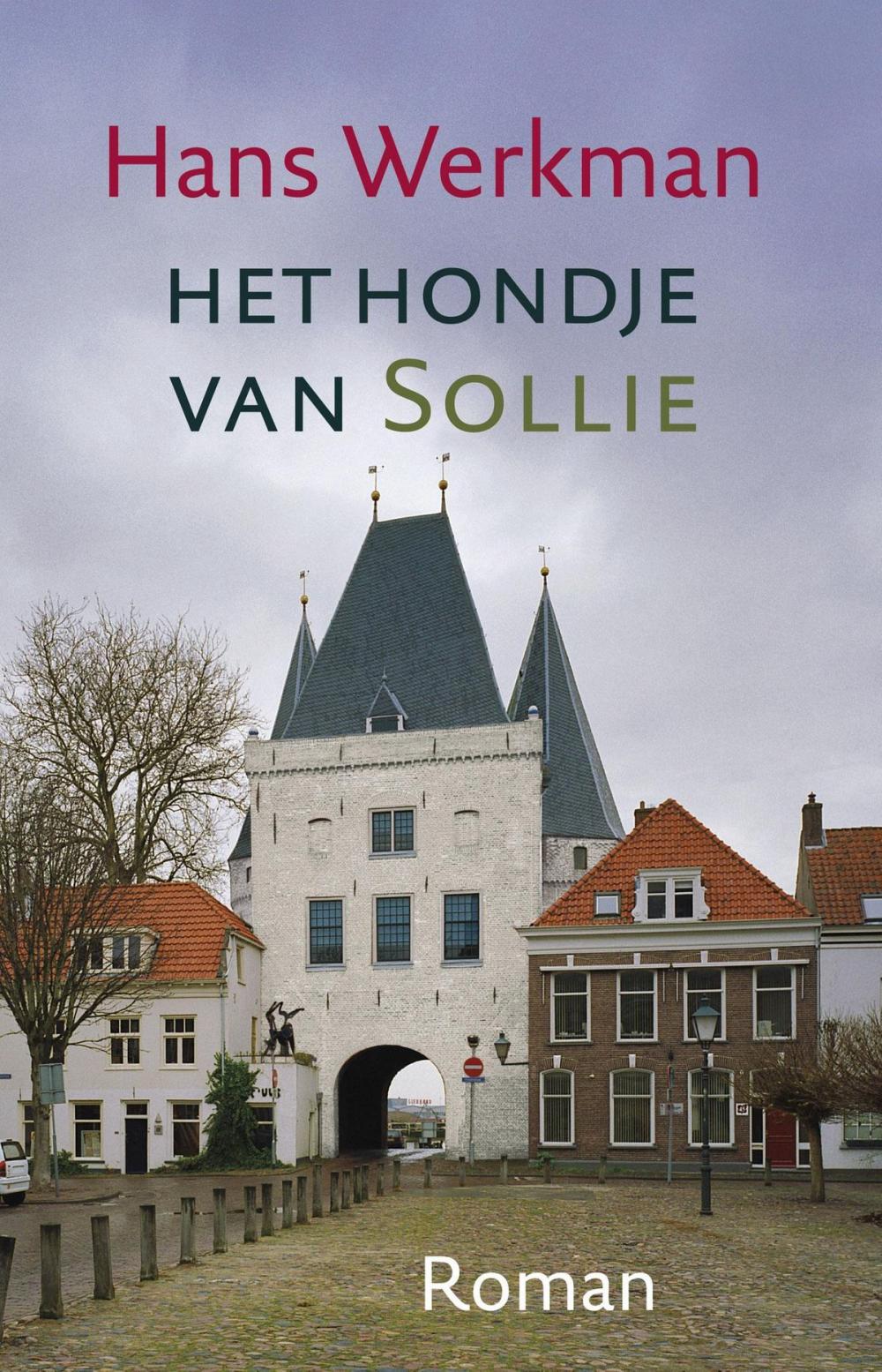 Big bigCover of Het hondje van Sollie