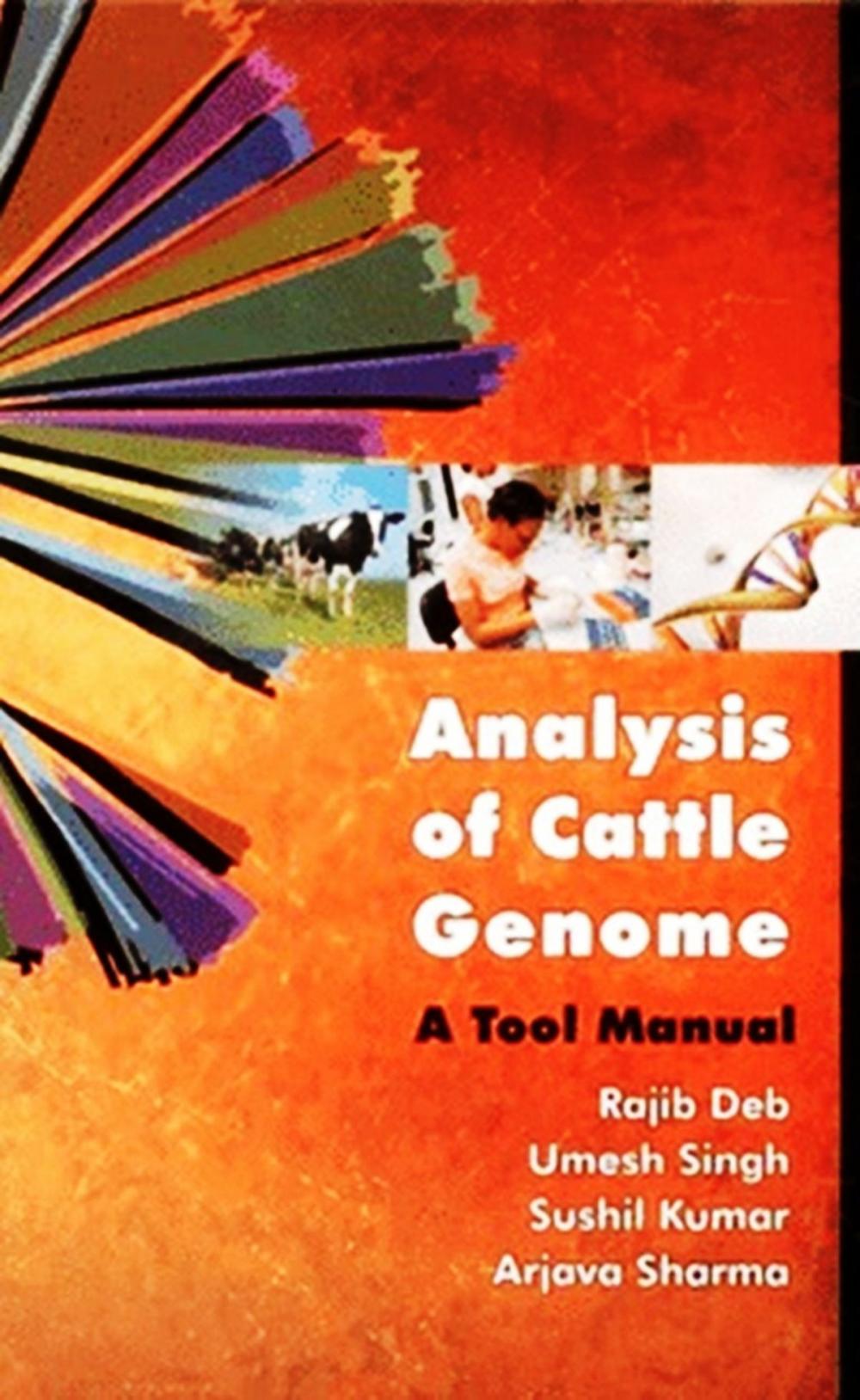 Big bigCover of Analysis of Cattle Genome A Tool Manual