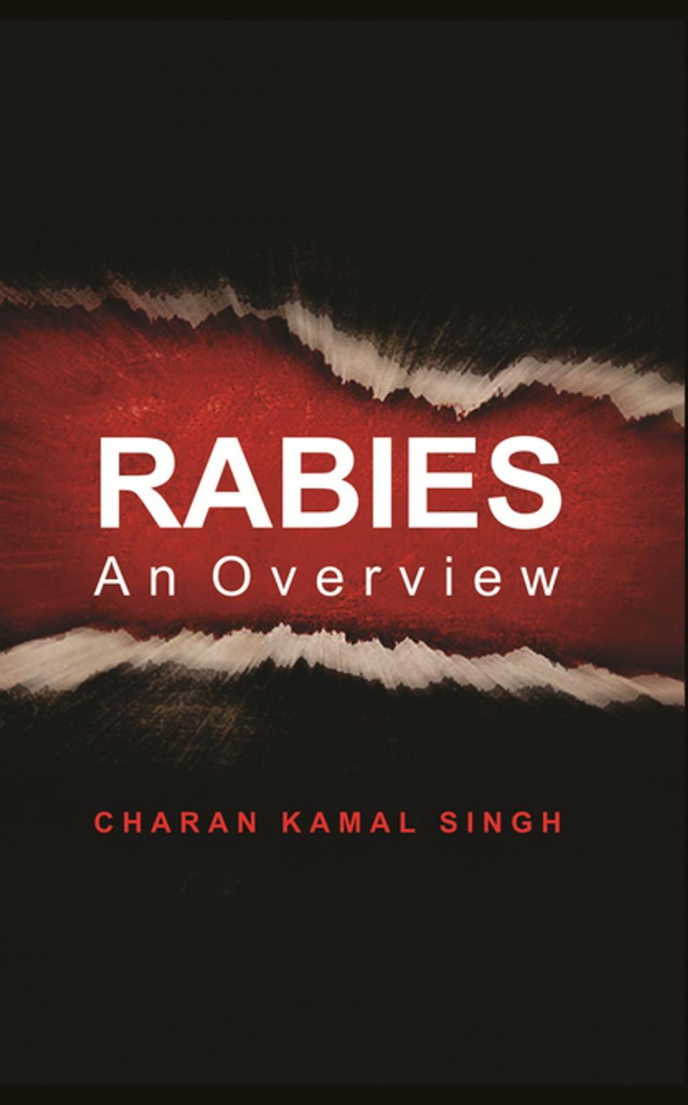 Big bigCover of Rabies an Overview