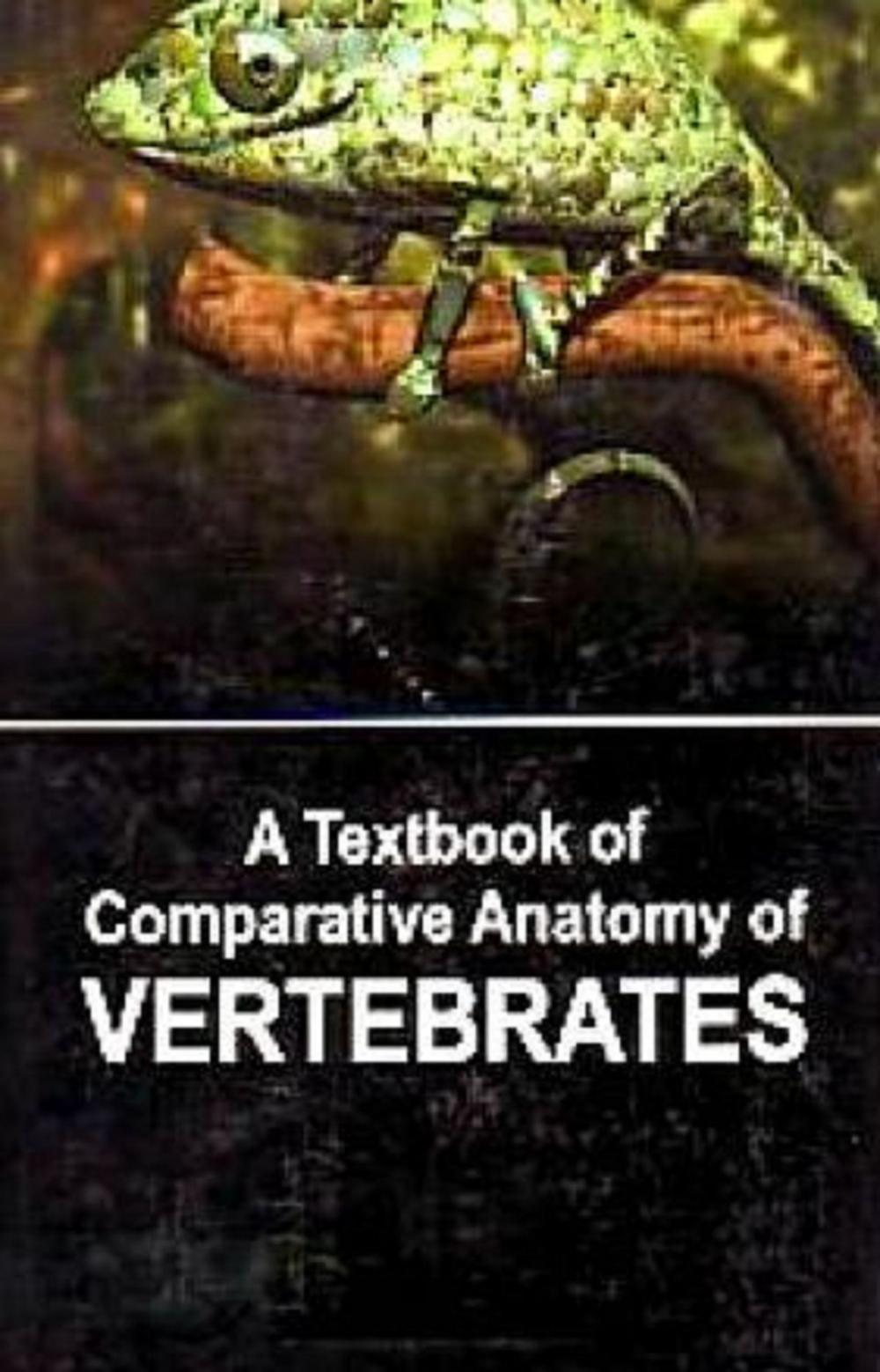 Big bigCover of A Textbook of Comparative Anatomy of Vertebrates