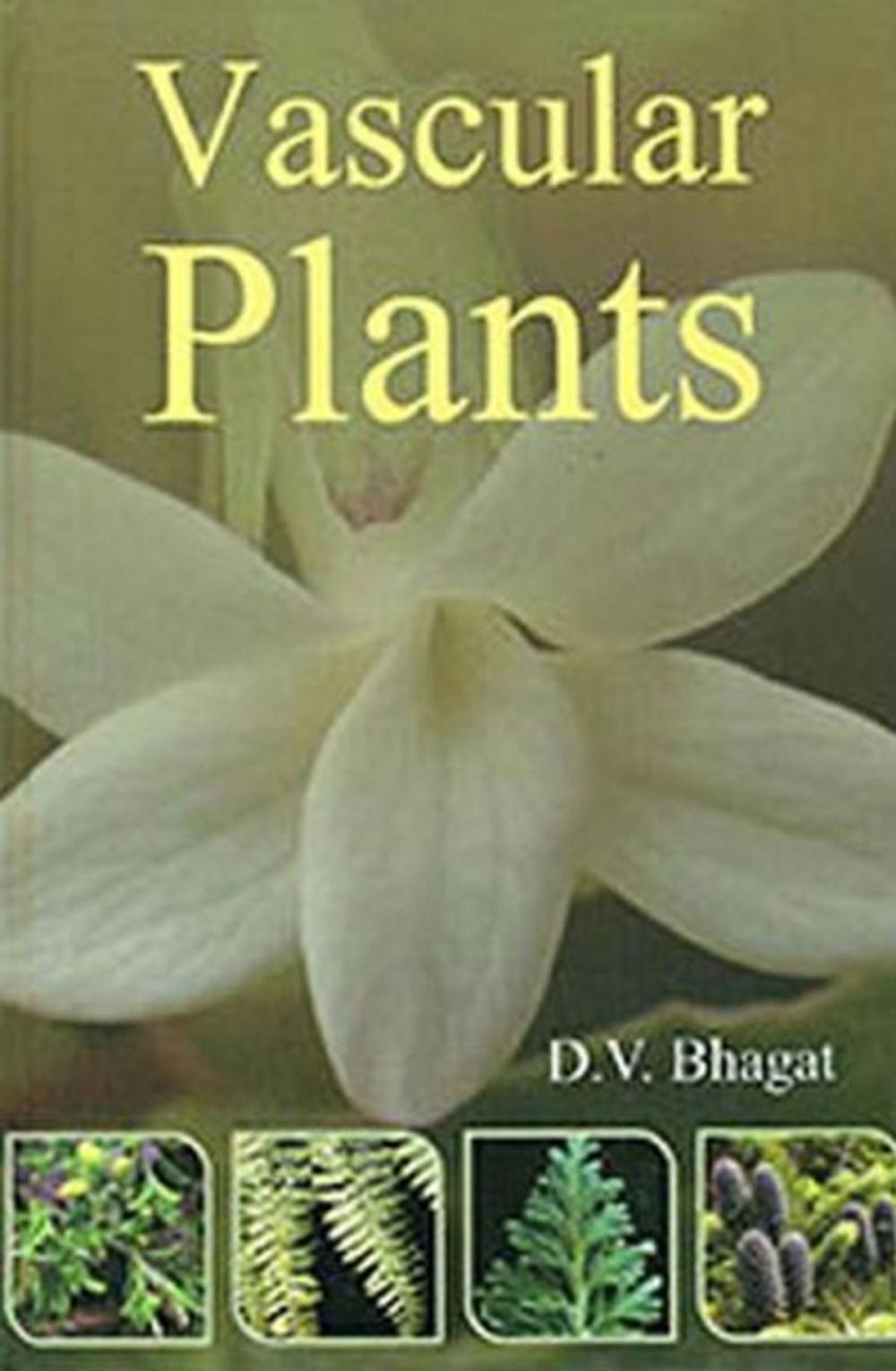 Big bigCover of Vascular Plants