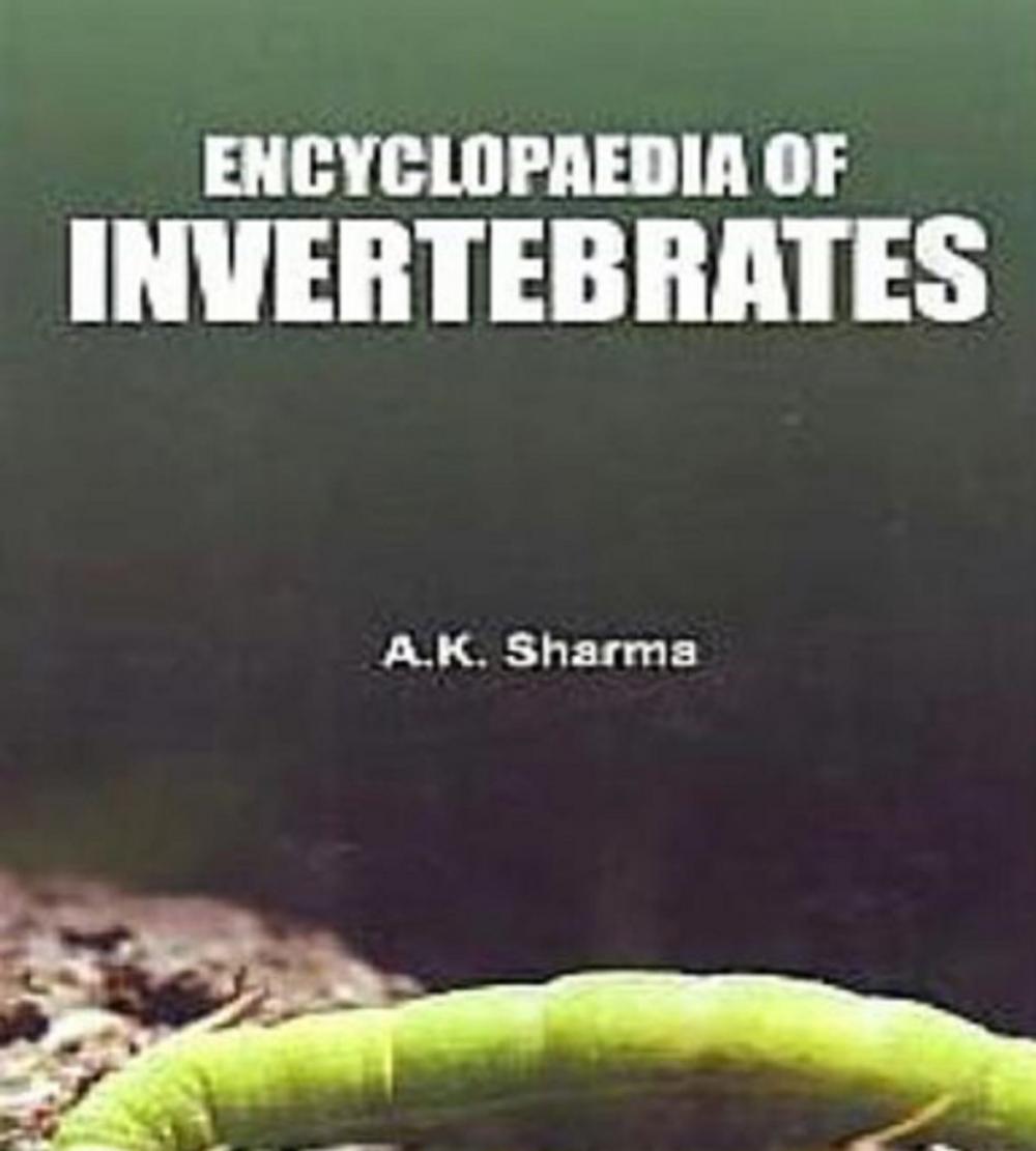 Big bigCover of Encyclopaedia Of Invertebrates