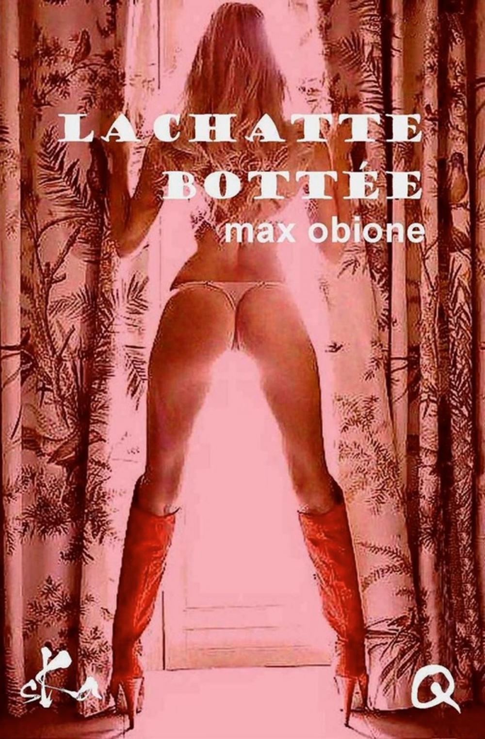 Big bigCover of La chatte bottée