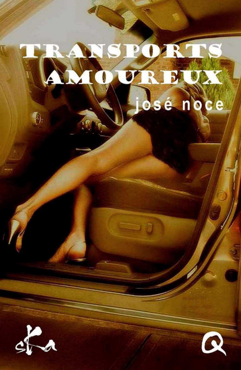 Big bigCover of Transports amoureux