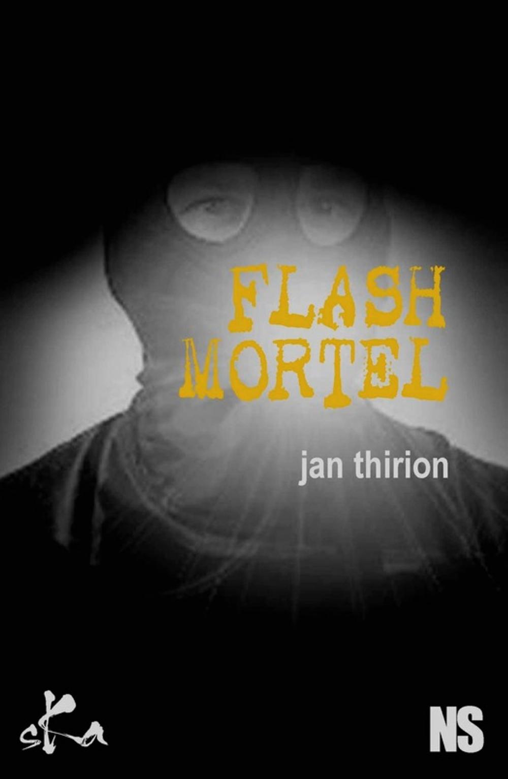 Big bigCover of Flash mortel