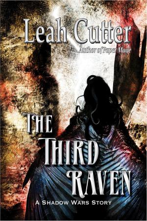 bigCover of the book The Third Raven by 