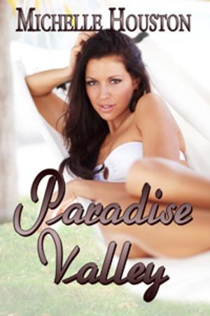 Cover of the book Paradise Valley by Bebe Lix