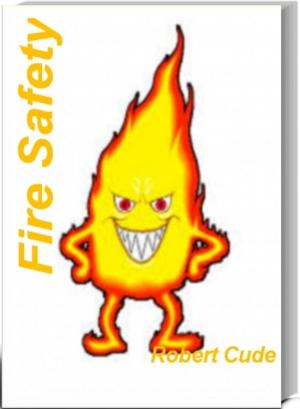 bigCover of the book Fire Safety by 