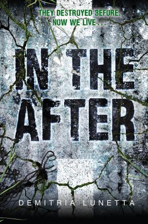Cover of the book In the After by R.L. Stine