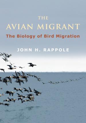 Book cover of The Avian Migrant