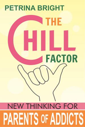Book cover of The Chill Factor