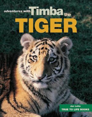 Cover of Timba the Tiger