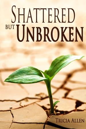 Cover of the book Shattered But Unbroken by 金躍軍