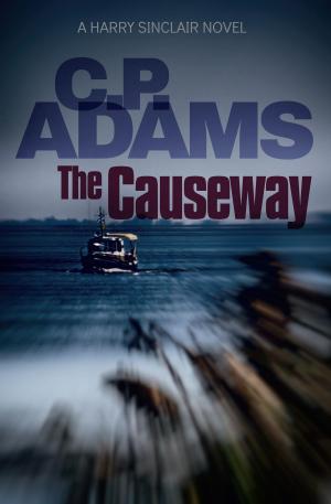 Cover of the book The Causeway by Camela Thompson