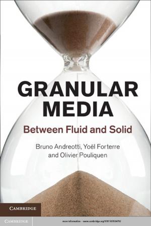 Cover of the book Granular Media by Tim J. Stevens, Wayne Boucher