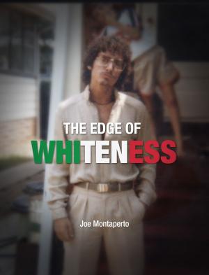 Cover of the book The Edge of Whiteness by Sambath Meas