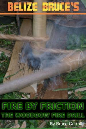 Cover of the book Fire By Friction: The Wood Bow Fire Drill by Tor Lowry