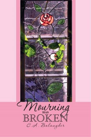 Cover of the book Mourning Has Broken by Cody McDowell