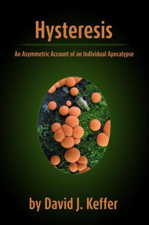 Cover of the book Hysteresis: An Asymmetric Account of an Individual Apocalypse by Jonathan Brown