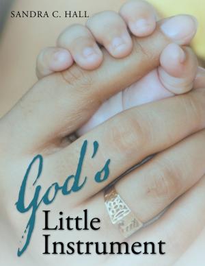 Cover of the book God's Little Instrument by Rob Goldstein