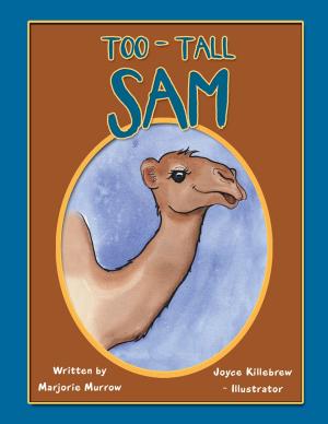 Cover of the book Too-Tall Sam by B.W. Van Riper